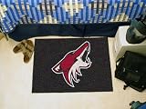 Fan Mats 10656 Phoenix Coyotes Starter Mat