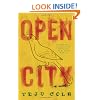 Open City: A Novel
