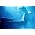 Thumbnail image of Trans-Siberian Orchestra