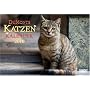 DuMonts Katzen-Kalender 2010. Brosch�renkalender: Mit literarischen Texten