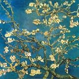 Almond Branches in Bloom, 1890 Art Styles Stretched Canvas Poster Print by Vincent van Gogh, 28x28