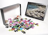 Photo Jigsaw Puzzle of Paradise Beach, Mykonos, Cyclades Islands, Greek Islands, Greece, Europe from Robert Harding