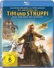 Die Abenteuer von Tim & Struppi - Das Geheimnis der Einhorn (DVD)