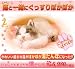 にゃんともあったか湯たんぽ