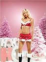 Sexy 2Pc Miss Santa Claus Outfit Underwire Bra And Skirt