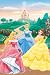 Disney Princess Garden Window Poster 24-by-36-Inch