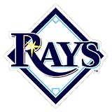 Tampa Bay Devil Rays Team Auto Window Decal (12 x 10 -inch)