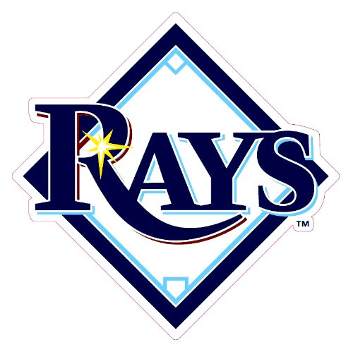 Tampa Bay Devil Rays Team Auto Window Decal (12 x 10 -inch)