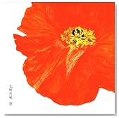 ��(DVD�t)�̃C���[�W���g�傷��