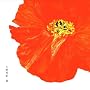 ��(DVD�t)