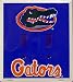 Florida Gators Light Switch Covers (double) Plates LS12009