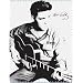 CharacterWorld Elvis Army Guitar Fleece Blanket