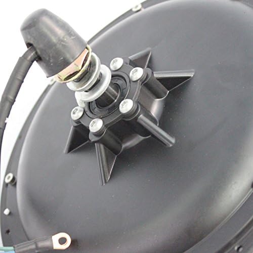 48V 1000W Brushless Gearless DC Hub Motor-Cassette Freehub for Electric Bike Rear Wheel