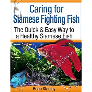 Caring for Siamese Fighting Fish: Betta Splendens