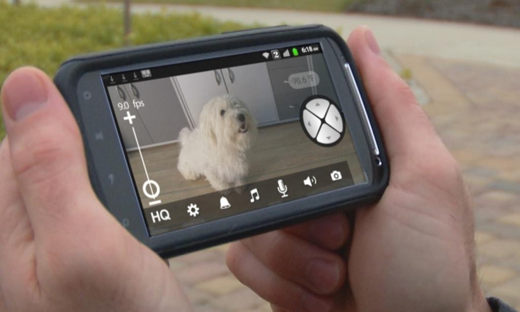 Motorola Scout1 WiFi Pet Monitor for Remote Viewing with