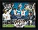 Carling Cup 2008 Winners Official Framed 16x12 Montage Print, Tottenham Hotspur Football Club