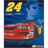 Jeff Gordon 50