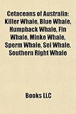 Cetaceans of Australia: Killer Whale, Blue Whale, Humpback Whale, Fin Whale, Minke Whale, Sperm Whale, SEI Whale, Southern Right Whale-
