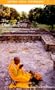 The Dhammapada: With Introductory Essays, Pali Text, English Translation and Notes (Oxford India Collection)