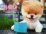 BOO　イヌのブゥのフォト日記