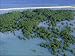 Photo Jigsaw 16x12 (40x30cm) Philippines - Palawan - mangroves by Ardea