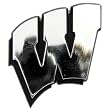 Wisconsin Badgers Silver Auto Emblem