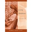Living Hinduisms: An Explorer's Guide (Religious Life in History) by Nancy Auer Falk