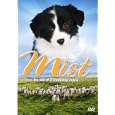 Mist: The Tale of a Sheepdog Puppy