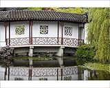 IMAGE OF Photographic Prints of Dr. Sun Yat-Sen Classical Chinese Garden in Chinatown, Vancouver, British from Robert Harding