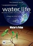 Water Life: Water`s Pulse