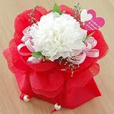 �v���U�[�u�h�t�����[�u���ӂ̋C�����v�z���C�g