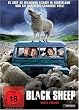 Black Sheep - uncut