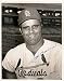 Joe Torre Autographed/Hand Signed St. Louis Cardinals 8x10 Photo