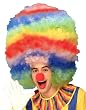 Jumbo Rainbow Clown Wig