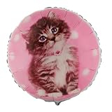 Rachel Hale Glamour Cats Mylar Balloon Party Supplies