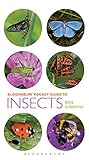 Pocket guide to insects