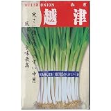 在来固定種　伝統野菜の種「越津ねぎ」10ml約1400粒　畑懐〔はふう〕