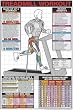 Treadmill Workout 24" X 36" Laminated Chart