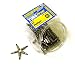 Eazypower 90901 Phillips 1-Inch Isomax Achiever Insert Bits No.1, 150-Pieces
