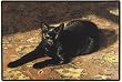 Sun Bath Cat Doormat Sueellen Ross Fiddler's Elbow