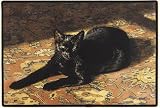 Sun Bath Cat Doormat Sueellen Ross Fiddler's Elbow