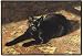 Sun Bath Cat Doormat Sueellen Ross Fiddler's Elbow