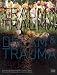 Dream and Trauma (German Edition)