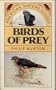 Birds of Prey (American Nature Guides)