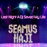 Last Night a DJ Saved My Life [12" VINYL]