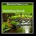Joe Brooks-Babbling Brook