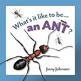 What's it like to be ... an ant?