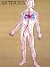 Body Arteries Clear Pulmonary and Systemic Photographic Poster Print, 12x16