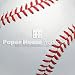 Baseball Scrapbook Paper