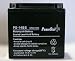 PowerStar 14-BS Battery for Vespa (Piaggio) 250cc GTS250 2010